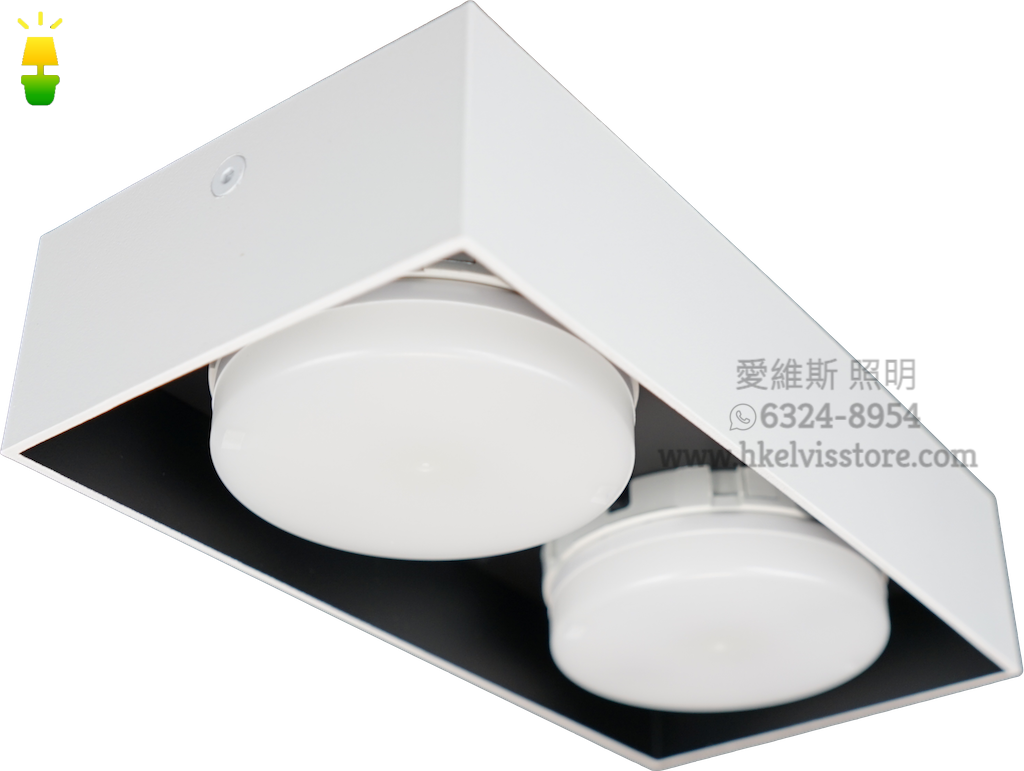 未來照明 LED GX53 (6瓦) 雙頭盒仔燈 未來照明