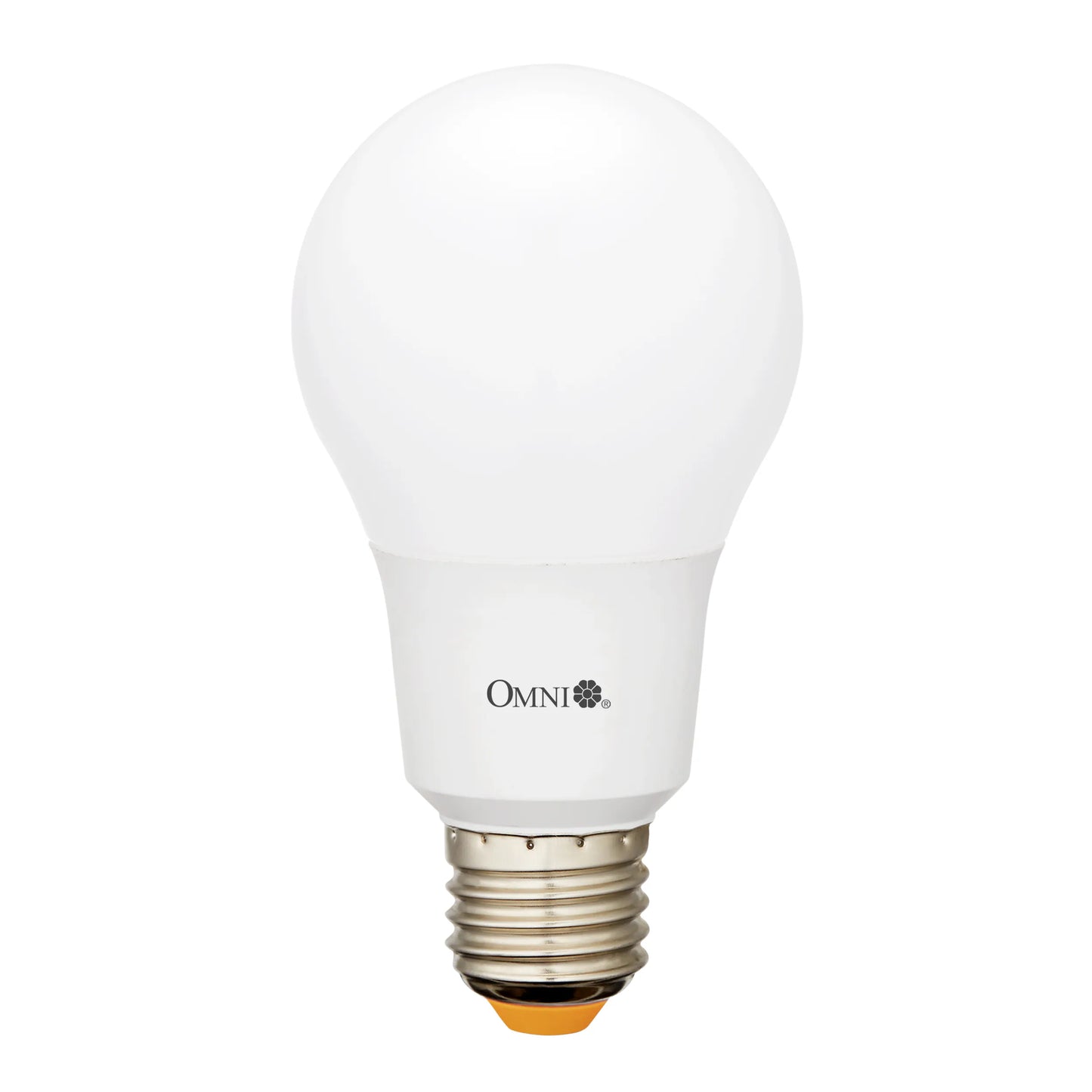 OMNI 15W LED A70 燈膽 大螺絲頭 E27 (暖黃光/冷白光) OMNI