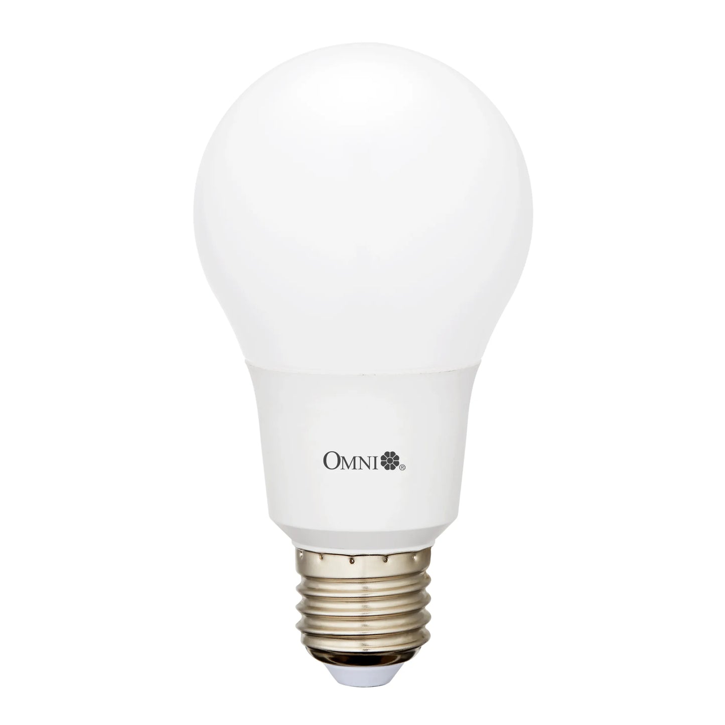OMNI 15W LED A70 燈膽 大螺絲頭 E27 (暖黃光/冷白光) OMNI