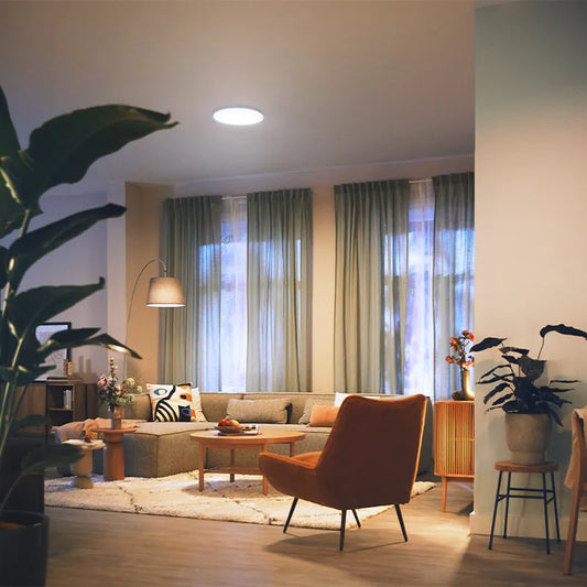 Philips Izso CL620 24W Entry AIO 多功能天花燈 Philips