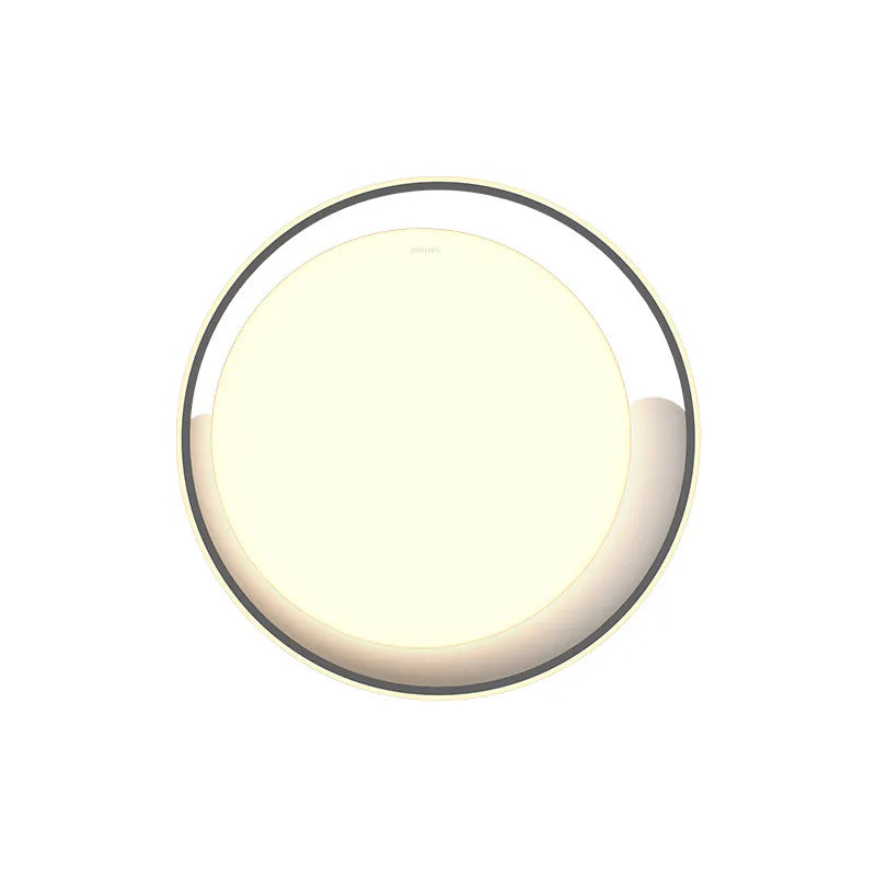 Philips ZX305 RUNYU RD 550 Ceiling LED G (48W) Philips