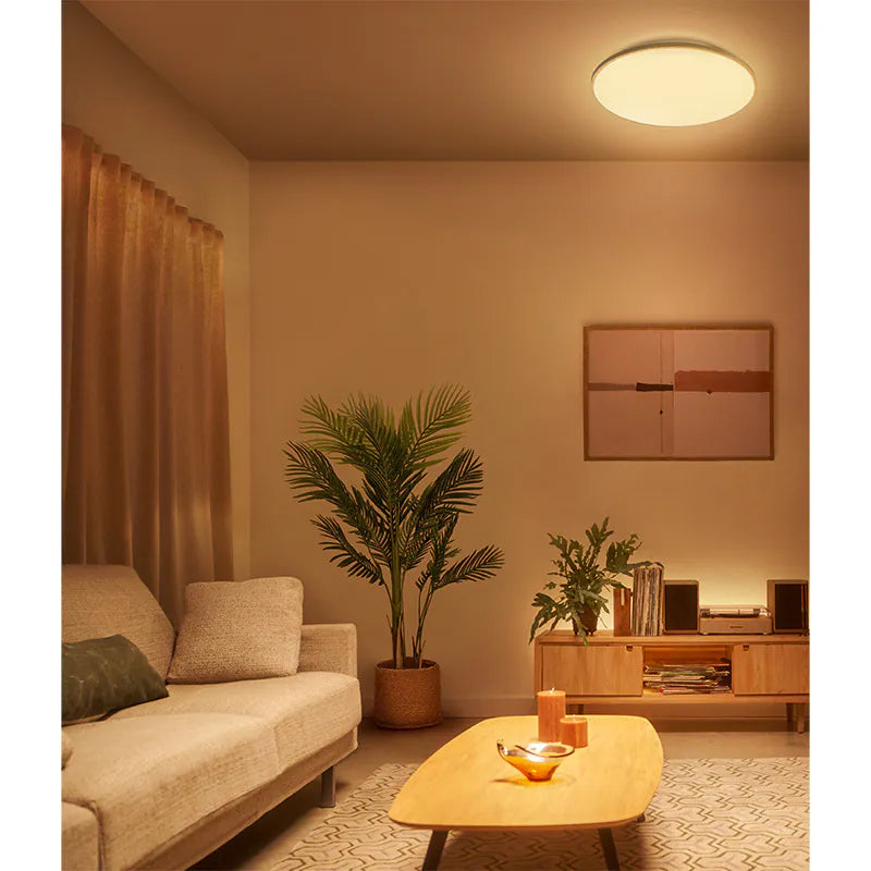 Wincel CL630 日系木紋圓形 Entry AIO 多功能天花燈 (40W) Philips