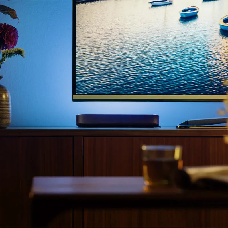 Philips Hue Play 燈條（兩件裝）