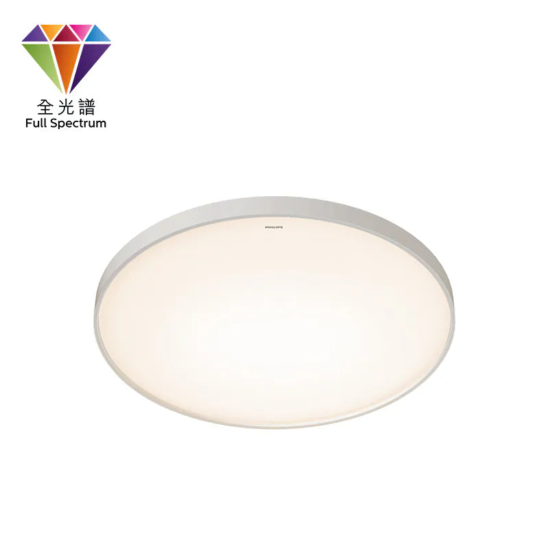 Philips ZX307 JIANGYUE RD 600 Ceiling LED W (60W)