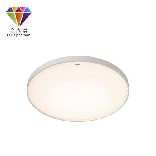 Philips ZX306 JIANGYUE RD 770 Ceiling LED W (110W)