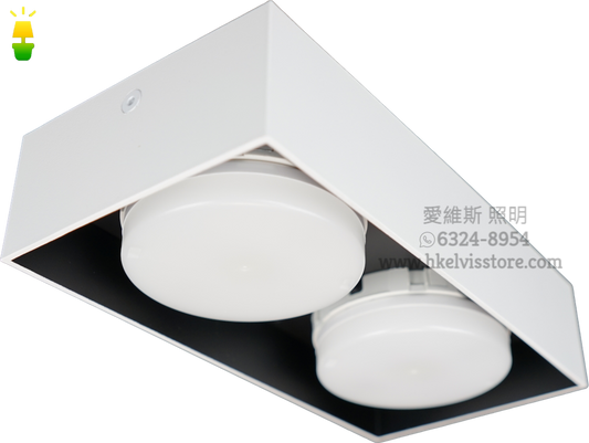 未來照明 LED GX53 (6瓦) 雙頭盒仔燈 未來照明